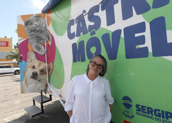 Secretaria de Estado da Saúde promove castração coletiva de gatos comunitários em Nossa Senhora do Socorro