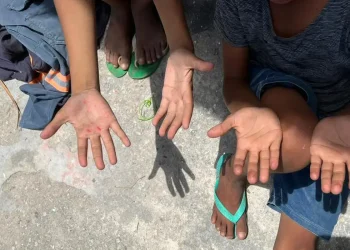 ONG alerta para alta do trabalho infantil entre crianças de 5 a 9 anos