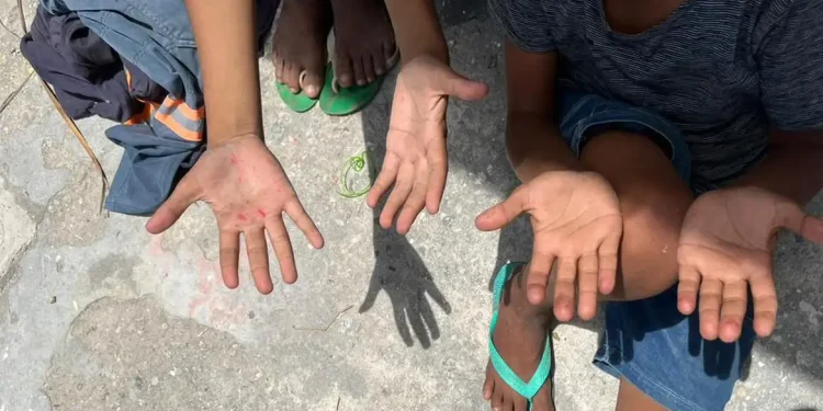 ONG alerta para alta do trabalho infantil entre crianças de 5 a 9 anos