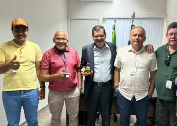 Deputado Netinho recebe representantes da apicultura e dialoga sobre a cadeia produtiva
