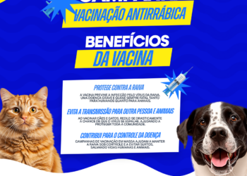 Prefeitura Divulga Cronograma Completo da Campanha de Vacinação Antirrábica 2025 em Itaporanga