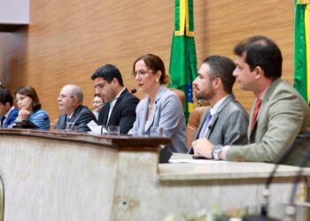 Delegada Katarina apresenta projeto sobre Zona de Expansão em sessão da Alese