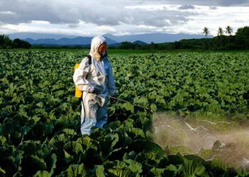 STF vai julgar ações que questionam concessão de incentivos fiscais e reduções tributárias a agrotóxicos