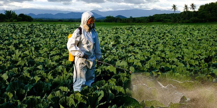 STF vai julgar ações que questionam concessão de incentivos fiscais e reduções tributárias a agrotóxicos