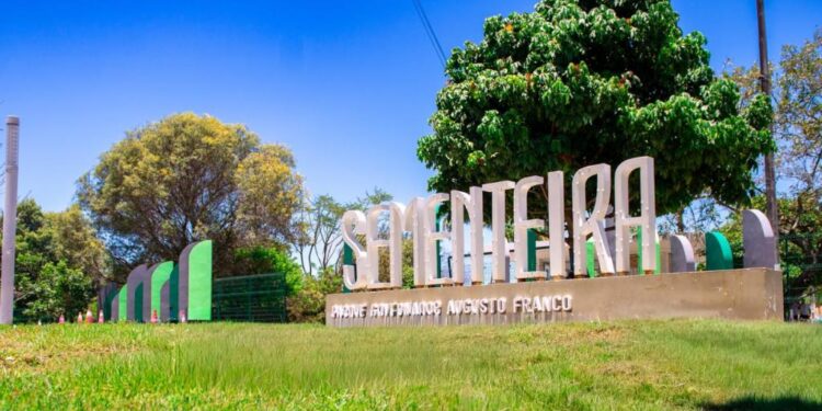 Mutirão de limpeza prepara o Parque da Sementeira para inauguração dos novos espaços