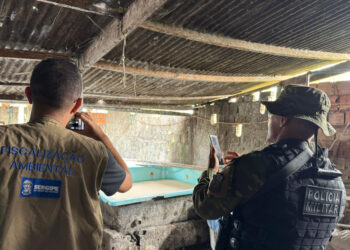 Adema interdita produção não licenciada de farinha tapioca em Salgado