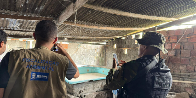 Adema interdita produção não licenciada de farinha tapioca em Salgado