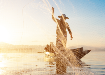 Deputados federais aprovam MP com novas regras para o seguro-defeso