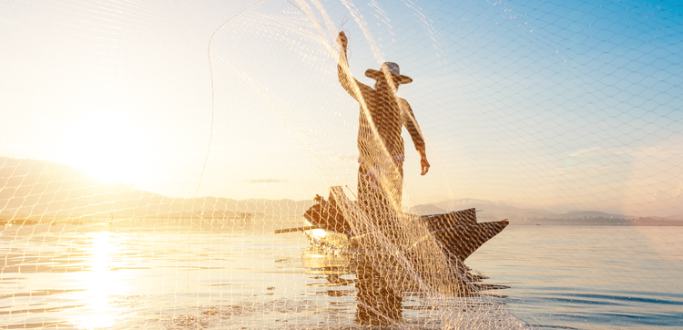Deputados federais aprovam MP com novas regras para o seguro-defeso