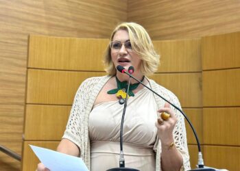 Linda Brasil expõe denúncias de abandono de estações de captação e tratamento de água