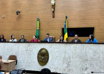 Em sessão especial, Luciano Pimentel reafirma importância da conscientização na luta em defesa dos direitos dos autistas