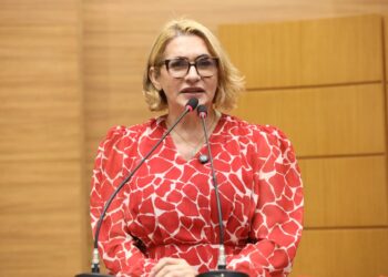 Linda Brasil destaca Paralisação Nacional do Magistério Público