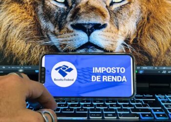 Receita abre consulta a lote da malha fina do Imposto de Renda