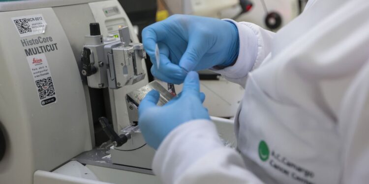 Lei sancionada amplia acesso a terapias e vacinas contra o câncer no SUS