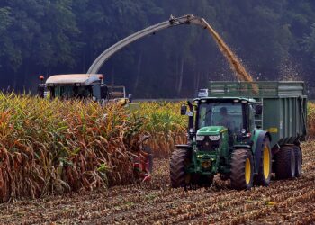 Máquinas agrícolas: Energisa orienta sobre cuidados com a rede elétrica