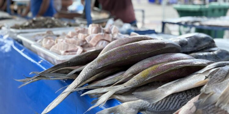 Feira de Pescados movimenta bairros de Aracaju e impulsiona vendas na Semana Santa