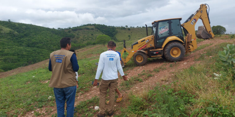 Adema flagra desmatamento irregular e interrompe atividade ilegal em Gararu