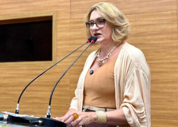 Recursos destinados por Linda Brasil fortalecem a agricultura familiar