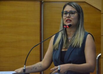 Kitty Lima defende política tributária voltada aos carros híbridos e elétricos