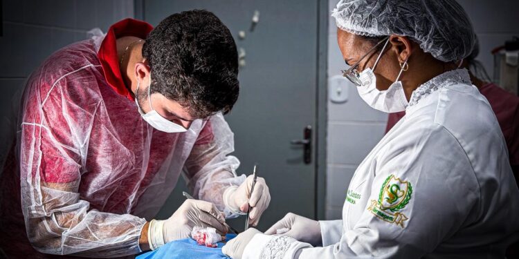 Prefeitura de Siriri amplia acesso à saúde com realização de pequenos procedimentos na Clínica