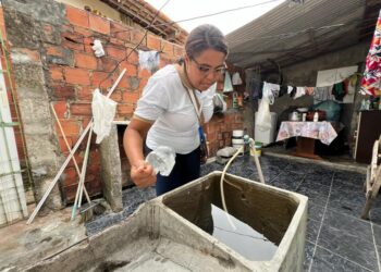 Prefeitura realiza terceiro levantamento para monitorar índices do Aedes aegypti em Aracaju