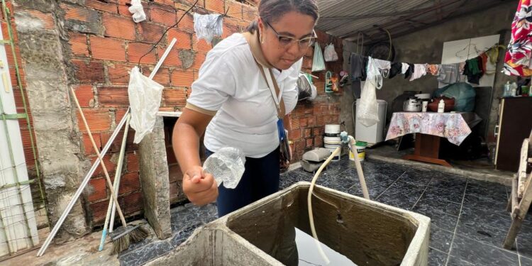 Prefeitura realiza terceiro levantamento para monitorar índices do Aedes aegypti em Aracaju